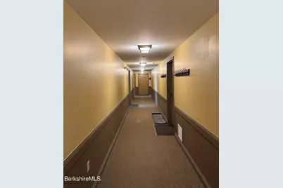 803 Crane, Hancock, MA 01237 - Photo 5