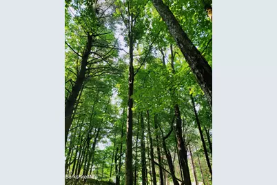 Lot 2 Leland Rd, Becket, MA 01223 - Photo 7