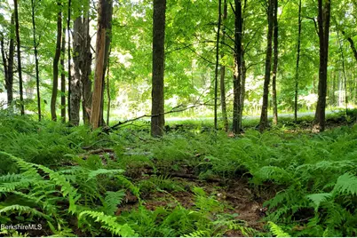 Lot 2B Leland Rd, Becket, MA 01223 - Photo 3