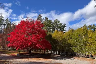 95 Lewis Ave, Great Barrington, MA 01230 - Photo 57