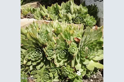 8 Frederick Ln, Adams, MA 01220 - Photo 17