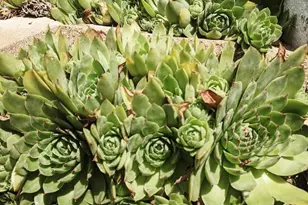 8 Frederick Ln, Adams, MA 01220 - Photo 17