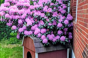 8 Frederick Ln, Adams, MA 01220 - Photo 19