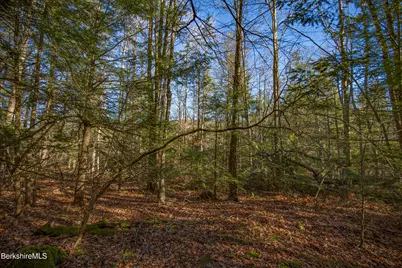 0 Goose Pond Rd, Tyringham, MA 01264 - Photo 3