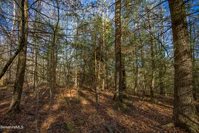 0 Goose Pond Rd, Tyringham, MA 01264 - Photo 13