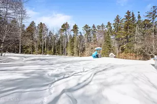 141 Griffin Hill Rd, Savoy, MA 01256 - Photo 59