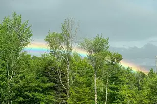 141 Griffin Hill Rd, Savoy, MA 01256 - Photo 71