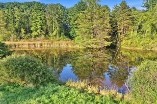 851 Lenox Rd, Richmond, MA 01254 - Photo 11