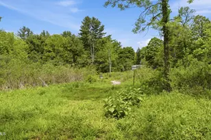 14 Roosterville Rd, Sandisfield, MA 01255 - Photo 41