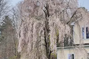 130 E Dugway Rd, Lenox, MA 01240 - Photo 77