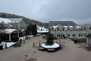 825 Thatcher House, Hancock, MA 01237 - Photo 5