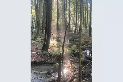 276 Great Barrington Rd, West Stockbridge, MA 01266 - Photo 73