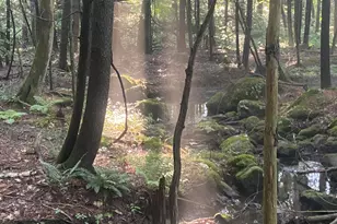 276 Great Barrington Rd, West Stockbridge, MA 01266 - Photo 73