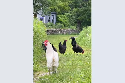 276 Great Barrington Rd, West Stockbridge, MA 01266 - Photo 55