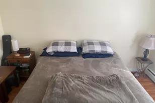 132 Daniels Ave, Pittsfield, MA 01201 - Photo 19