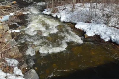 7 Silverbrook Rd, Sandisfield, MA 01255 - Photo 29