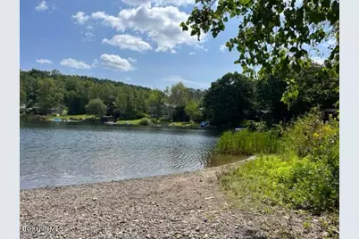 0 Goose Pond Rd, Tyringham, MA 01264 - Photo 5