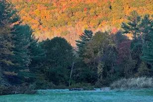 14 Old Tree Farm Rd, Stockbridge, MA 01262 - Photo 61