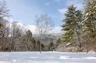 14 Old Tree Farm Rd, Stockbridge, MA 01262 - Photo 29