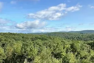 26A Stonebridge Way, Tyringham, MA 01264 - Photo 43