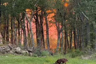 26A Stonebridge Way, Tyringham, MA 01264 - Photo 59