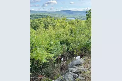 26A Stonebridge Way, Tyringham, MA 01264 - Photo 41