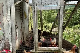 26A Stonebridge Way, Tyringham, MA 01264 - Photo 55