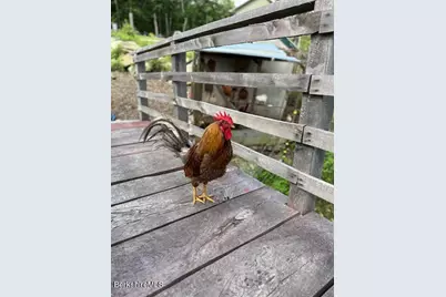 26A Stonebridge Way, Tyringham, MA 01264 - Photo 51