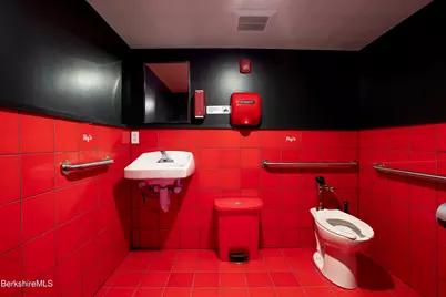 264 Hillsdale Rd, Egremont, MA 01258 - Photo 27