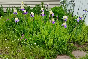 20 Richmond Way, Chicopee, MA 01022 - Photo 23