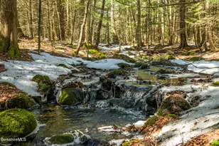 545 W Center Rd, Otis, MA 01253 - Photo 51