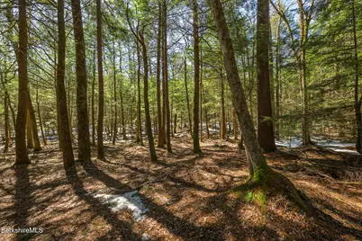 545 W Center Rd, Otis, MA 01253 - Photo 57