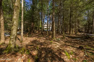 545 W Center Rd, Otis, MA 01253 - Photo 55