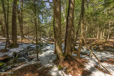 545 W Center Rd, Otis, MA 01253 - Photo 53