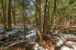 545 W Center Rd, Otis, MA 01253 - Photo 53