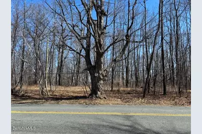 Bonny Rigg Hill Rd, Becket, MA 01223 - Photo 1