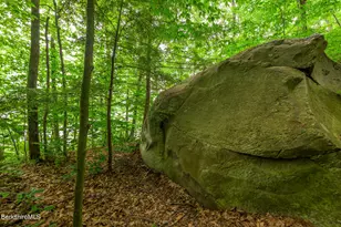 350 Old Cheshire Rd, Lanesborough, MA 01224 - Photo 19