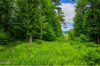 350 Old Cheshire Rd, Lanesborough, MA 01224 - Photo 17