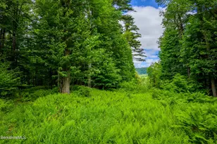 350 Old Cheshire Rd, Lanesborough, MA 01224 - Photo 17