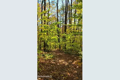 43 Bergblume Cir, Stamford, VT 05352 - Photo 39