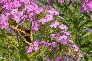 26 Westbrook Terrace, Pittsfield, MA 01201 - Photo 51