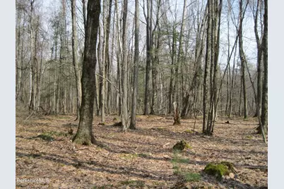 0 Mohawk Lake Rd, Stockbridge, MA 01262 - Photo 3