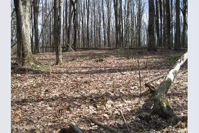 0 Mohawk Lake Rd, Stockbridge, MA 01262 - Photo 3