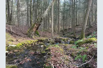 411-51 &52 Skyline Trail Trail, Middlefield, MA 01243 - Photo 3