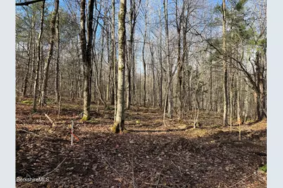 411-51 &52 Skyline Trail Trail, Middlefield, MA 01243 - Photo 1