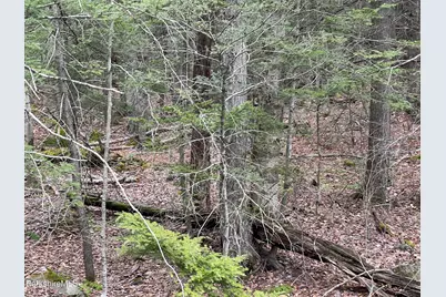 411-51 &52 Skyline Trail Trail, Middlefield, MA 01243 - Photo 5