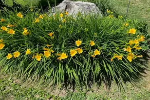 4 Birch Hill Rd, Peru, MA 01235 - Photo 49