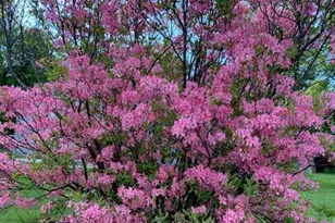 4 Birch Hill Rd, Peru, MA 01235 - Photo 47