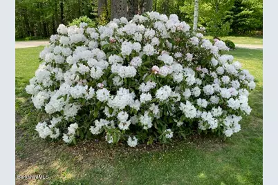 4 Birch Hill Rd, Peru, MA 01235 - Photo 53