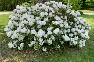 4 Birch Hill Rd, Peru, MA 01235 - Photo 53